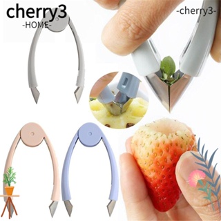 Cherry3 เครื่องสไลด์ผลไม้ สตรอเบอร์รี่ สับปะรด สเตนเลส สีฟ้า สีเทา สีชมพู สร้างสรรค์ 2 ชิ้น