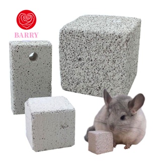 Barry หินภูเขาไฟ สําหรับสัตว์เลี้ยง กระต่าย กระรอก หนูตะเภา