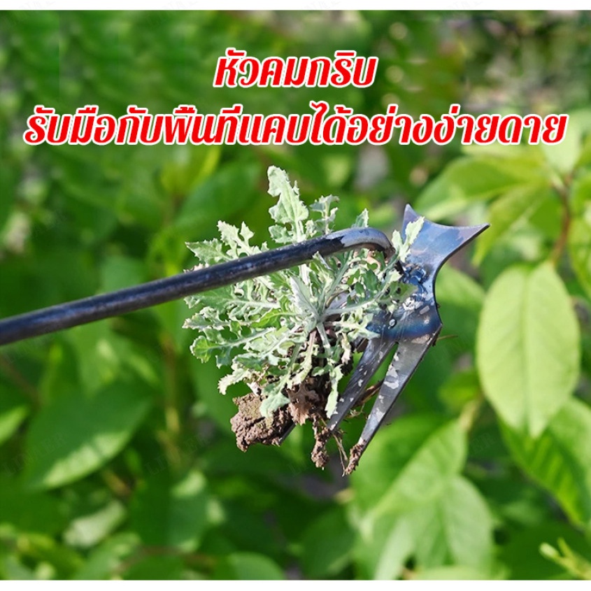 เครื่องถอนหญ้าตัวใหม่ที่สามารถถอนรากได้