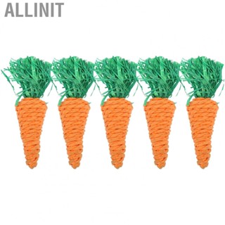 Allinit 5PCS Pet Chewing Toy Braiding Small  Toys For Hamsters Rabb GT