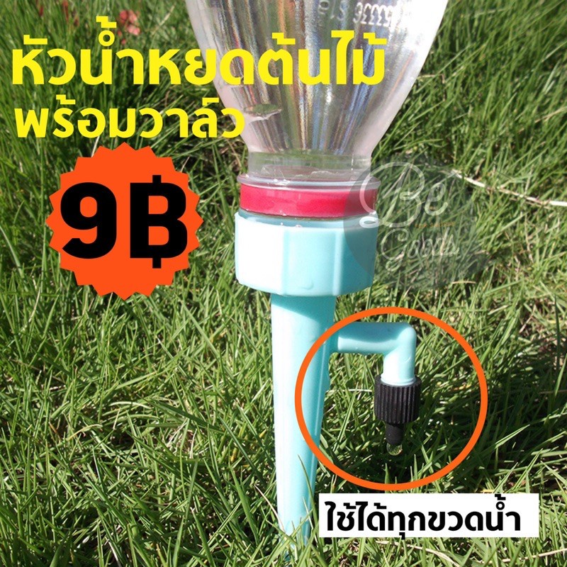 หัวน้ำหยดต้นไม้-diy-ที่รดน้ำ-หัวรดน้ำ-หัวหยดน้ำ-รดน้ำต้นไม้-ขวดน้ำเปล่า-ขวดน้ำอัดลม-ขวดโออิชิ-อยู่ได้-15วัน