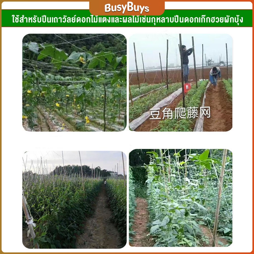 b-b-ตาข่ายปลูกพืชผัก-โครงไม้เลื้อย-ค้างปลูกผัก-อวนปลูกผัก-plant-support