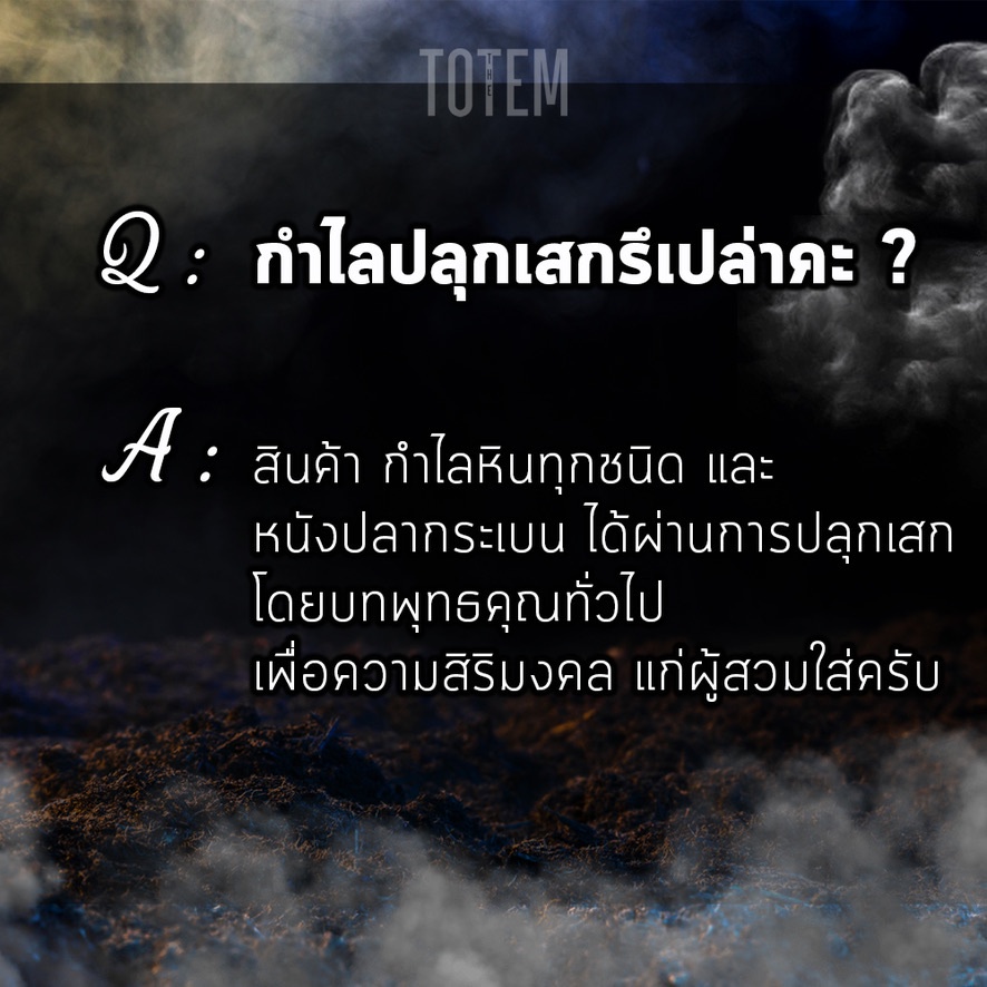 สร้อยคอ-the-totem-amethyst-prism-necklace-จี้พร้อมสร้อย