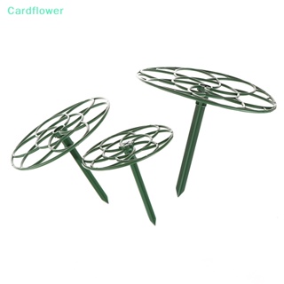 &lt;Cardflower&gt; กรอบพลาสติก วางซ้อนกันได้ สําหรับปลูกต้นไม้ 1 ชิ้น