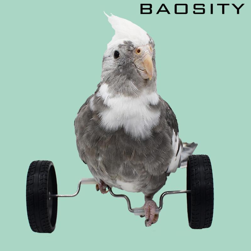 baosity-ของเล่นนกแก้ว-สเก็ตบอร์ด-สมดุล-อัจฉริยะ-สําหรับหนูแฮมสเตอร์-ชินชิล่า-กระต่าย-หงส์หยก-นกกระตั้ว