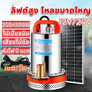 สแตนเลส ปั๊มจุ่ม 1 นิ้ว 12/24V 300W ไดโว่ มอเตอร์ทองแดงแท้ 100% ไดร์โว่ดูดน้ำ ปั๊มน้ำ ปั้มน้ำโซลาเซล ไดโว่ดูดน้ำ DC PUMP