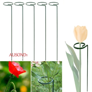 Alisond1 ไม้ค้ํายันพืช ดอกไม้ โลหะ บอนไซ เสา หลังบ้าน แหวนพยุง
