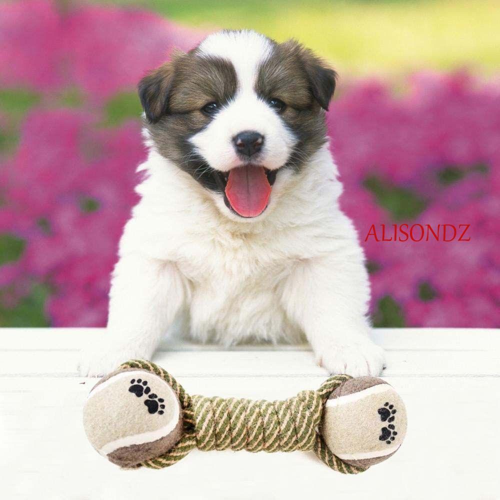 alisondz-ของเล่นสุนัข-เชือกฝ้าย-ทนต่อการกัด-ทําความสะอาดฟัน-สําหรับสุนัขขนาดกลาง-ขนาดใหญ่-ลูกบอลยาง