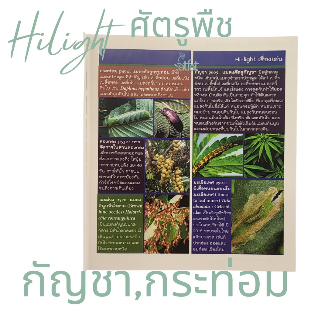 หนังสือคู่มือ-โรคและแมลงศัตรูพืชที่สำคัญ-2023