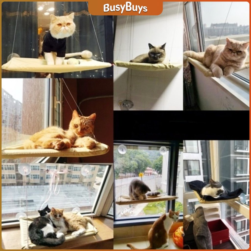 b-b-เปลแมว-เปลแมวติดกระจก-ขนาดใหญ่-55x35ซม-รับน้ำหนักได้ถึง-15-kg-ที่นอนแมว-บ้านแมว-ของเล่นแมว-cat-windows-bed-siter