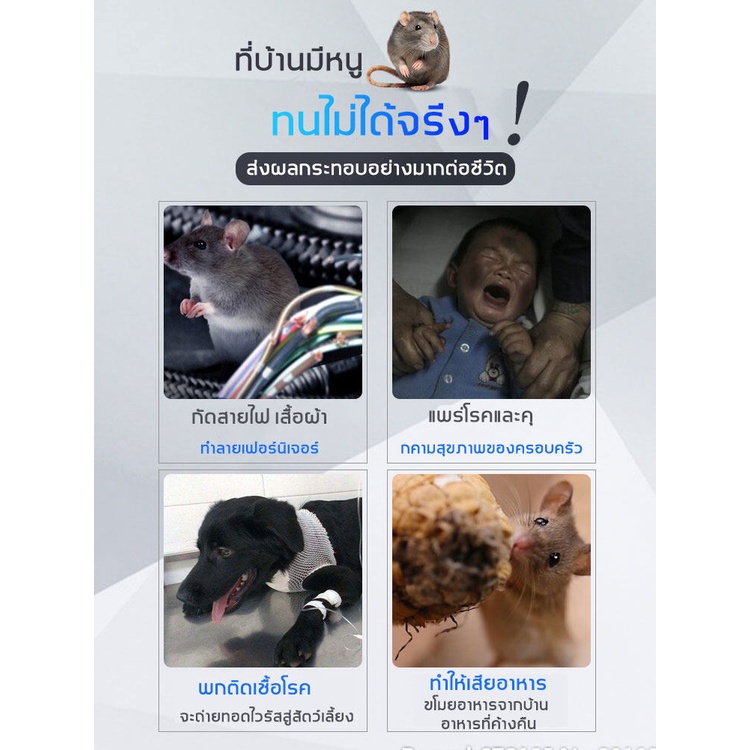 10ปีไม่มีหนู-ที่ไล่หนูไฟฟ้า-ไล่หนูด้วยอัลตราโซนิก-สามารถขับไล่-แมลงสาบ-ยุง-แมลงวัน-ตุ๊กแก-ค้างคาว-เครื่องไล่หนู
