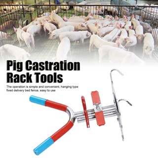 เครื่องมือแร็คตอนสุกร Double Hook Suspension สแตนเลสใช้งานง่ายสะดวก Pig Castration Frame