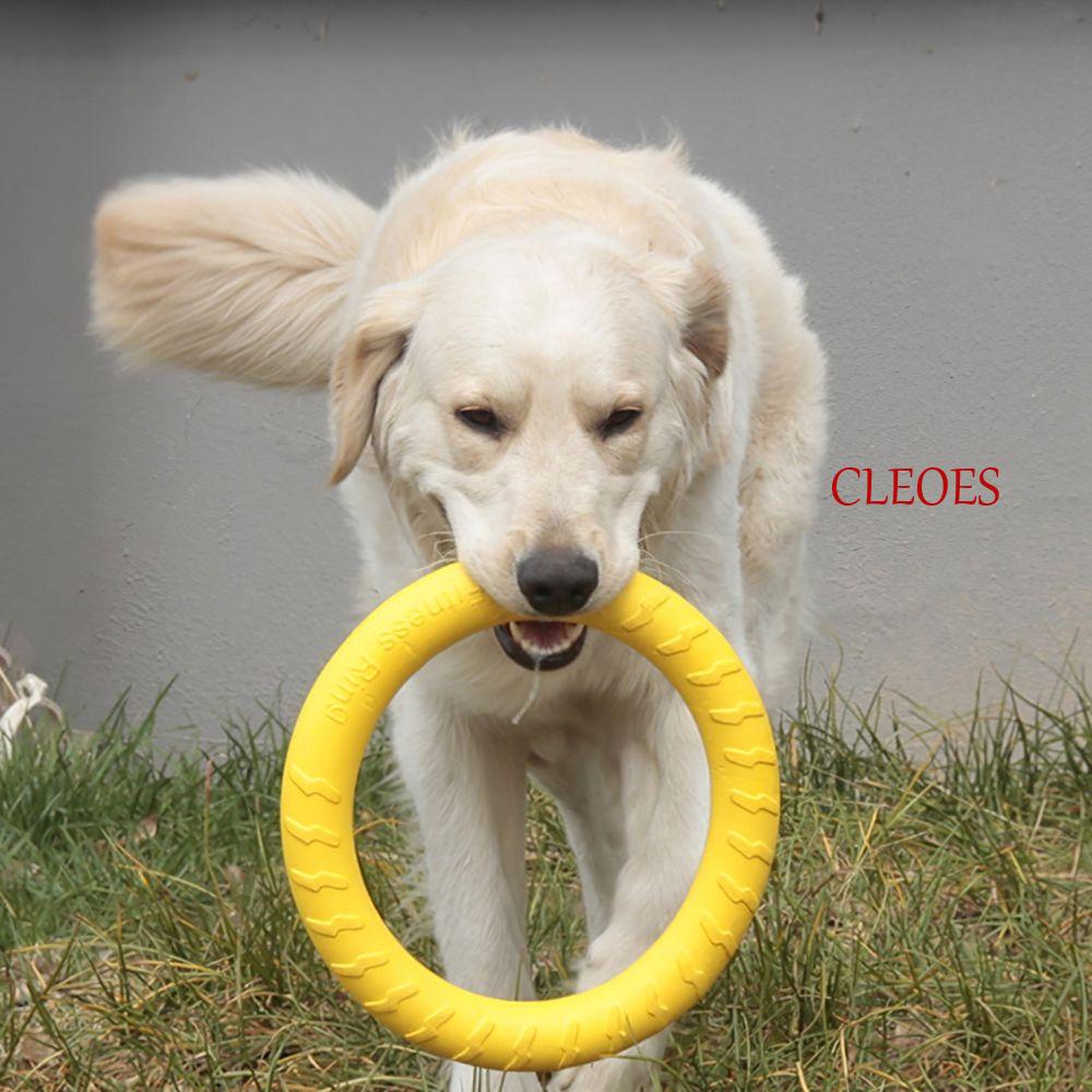 cleoes-ห่วงดึง-ของเล่นฝึกสุนัข-ขนาดเล็ก-ขนาดใหญ่-แบบโต้ตอบ