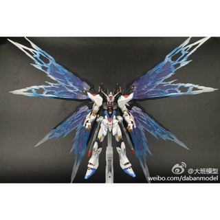 [Daban] MG 1/100 8802 ZGMF-X20A Strike Freedom Ver.MB & Wing Of Light