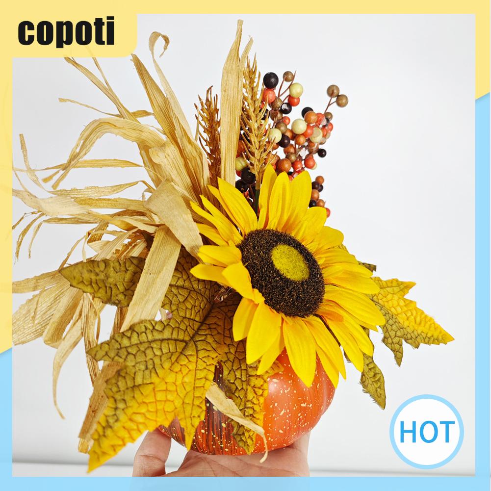 copoti-ฟักทองเมเปิ้ล-สําหรับตกแต่งบ้าน-ร้านอาหาร-เทศกาล