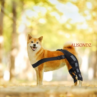 Alisondz สนับเข่า ยืดหยุ่น สะท้อนแสง ป้องกันการบาดเจ็บ สําหรับสัตว์เลี้ยง สุนัข