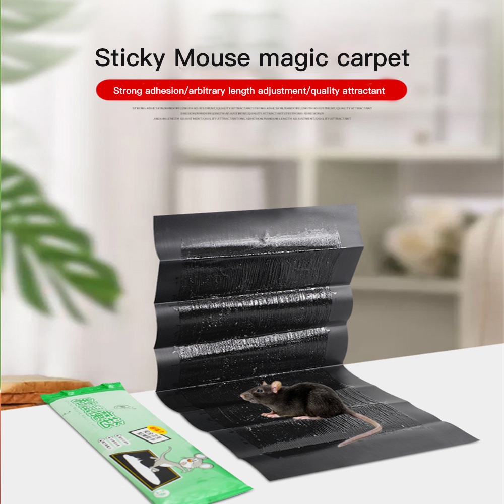 rat-sticky-rodent-แผ่นกาวดักหนู-sticky-mouse-พรมวิเศษกับดักหนู