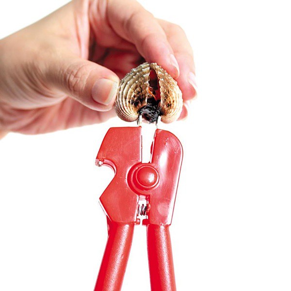 ถูกสุดๆ-คีมแกะหอยแครง-2-in-1-cockle-peeler