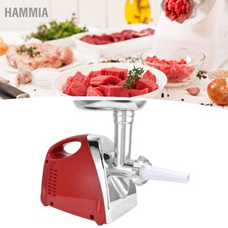 HAMMIA 2800W เครื่องบดเนื้อไฟฟ้าในครัวเรือนไส้กรอก Stuffer เครื่องผสมเนื้อ Mincer สำหรับบ้านเชิงพาณิชย์