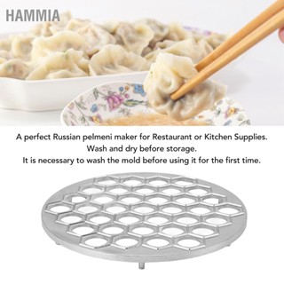 HAMMIA รัสเซีย Ravioli Maker เกี๊ยวแม่พิมพ์อลูมิเนียม Pelmeni แม่พิมพ์ เนื้อเกี๊ยว 37 หลุม