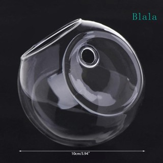 Blala แจกันแก้ว แบบแขวนผนัง สําหรับตกแต่งบ้าน สวน