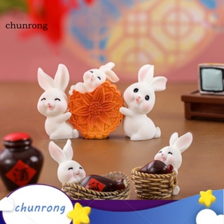 Chunrong เครื่องประดับ รูปกระต่ายน่ารัก น้ําหนักเบา แฮนด์เมด สําหรับสวน 2 ชิ้น ต่อชุด