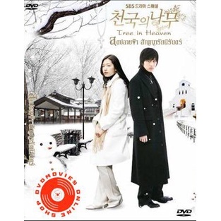 DVD ซีรีย์เกาหลี Tree of Heaven สุดปลายฟ้า สัญญารักนิรันดร์ (Heaven s Tree/Trees in Heaven) (เสียงไทย) DVD
