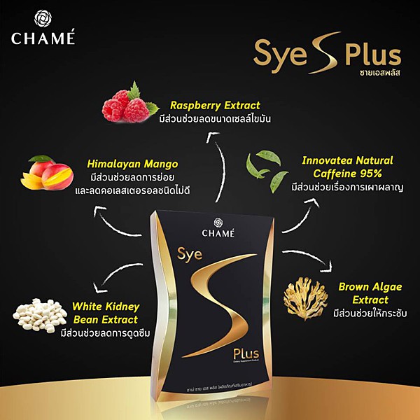 ชาเม่-ผลิตภัณฑ์เสริมอาหารควบคุมน้ำหนัก-และดูแลสุขภาพ-chame-sye-s-plus-35g-1กล่อง-x-10ซอง
