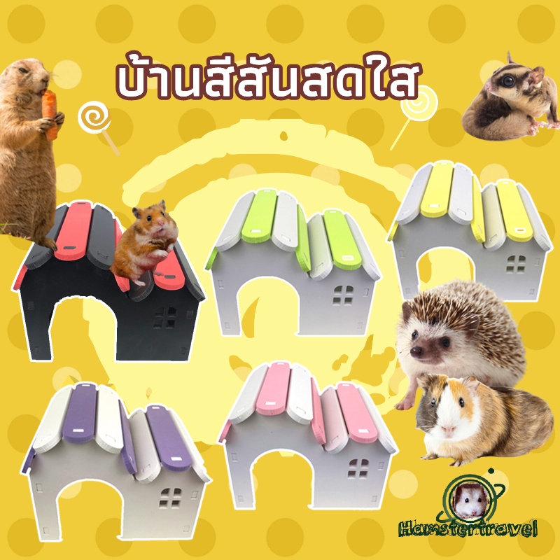 hamstertravel-บ้านแฮมสเตอร์-carno-บ้านหลังคาโค้งชั้นเดียว-สำหรับสัตว์เลี้ยงblw