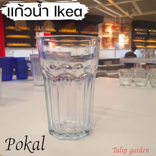 PASSERAD double wall glass, 45 cl (15 oz) - IKEA CA