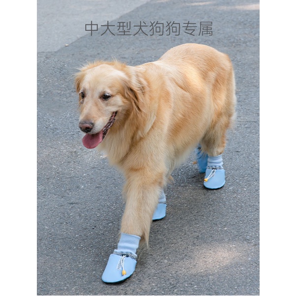 รองเท้าสุนัข-พิมพ์ลาย-ระบายอากาศ-ขนาดใหญ่-กลาง-4-คู่