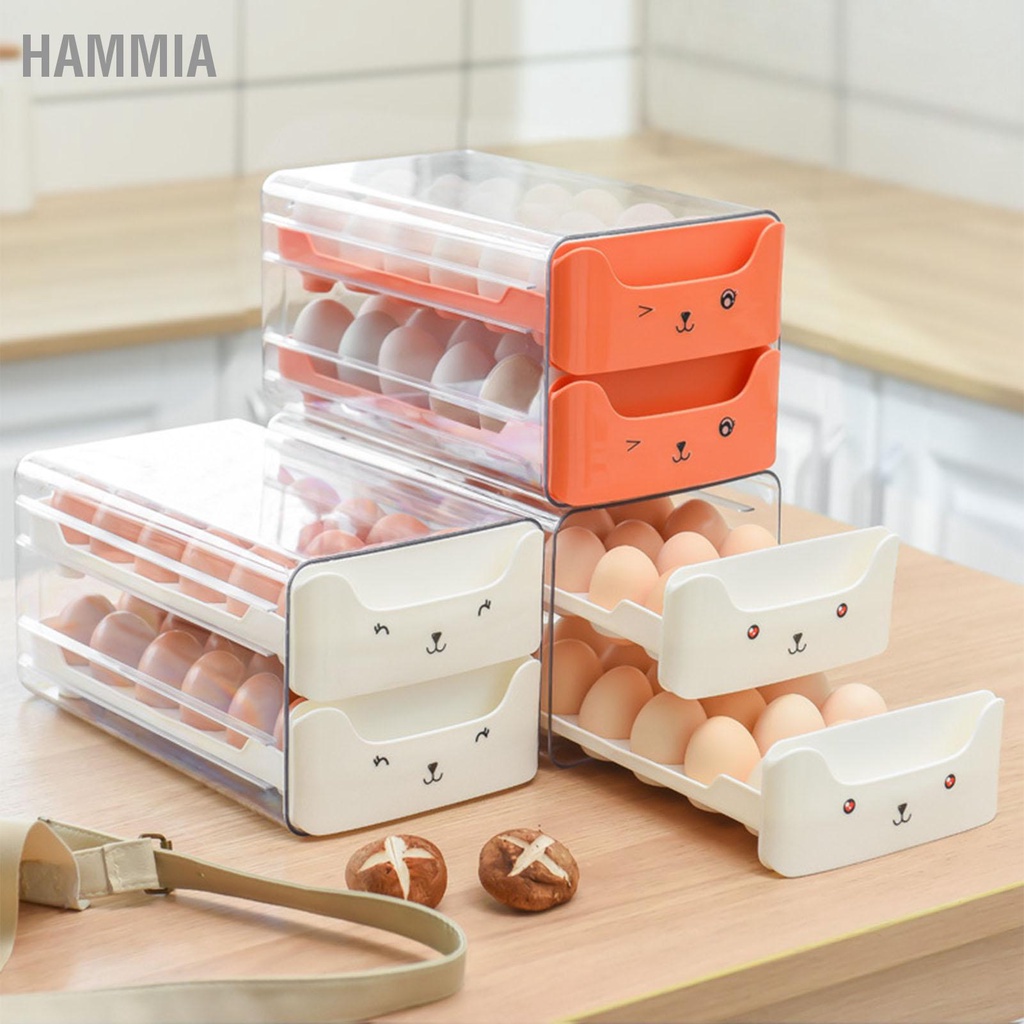 ลิ้นชักไข่สองชั้นโปร่งใสยาวช่องใส่ไข่อิสระตู้เก็บไข่สำหรับตู้เย็น-hammia