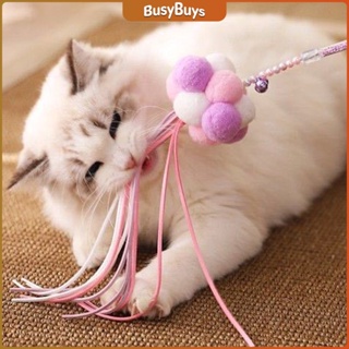 B.B. ""ไม้ตก"" ปอม ปอม ริบบิ้นลองล่อเล่นกับน้องแมว Funny cat