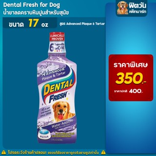 Dental Fresh for dogs   Advanced Plaque &amp; Tartar น้ำยาดูแลช่องปาก สูตรลดคราบหินปูน 17oz