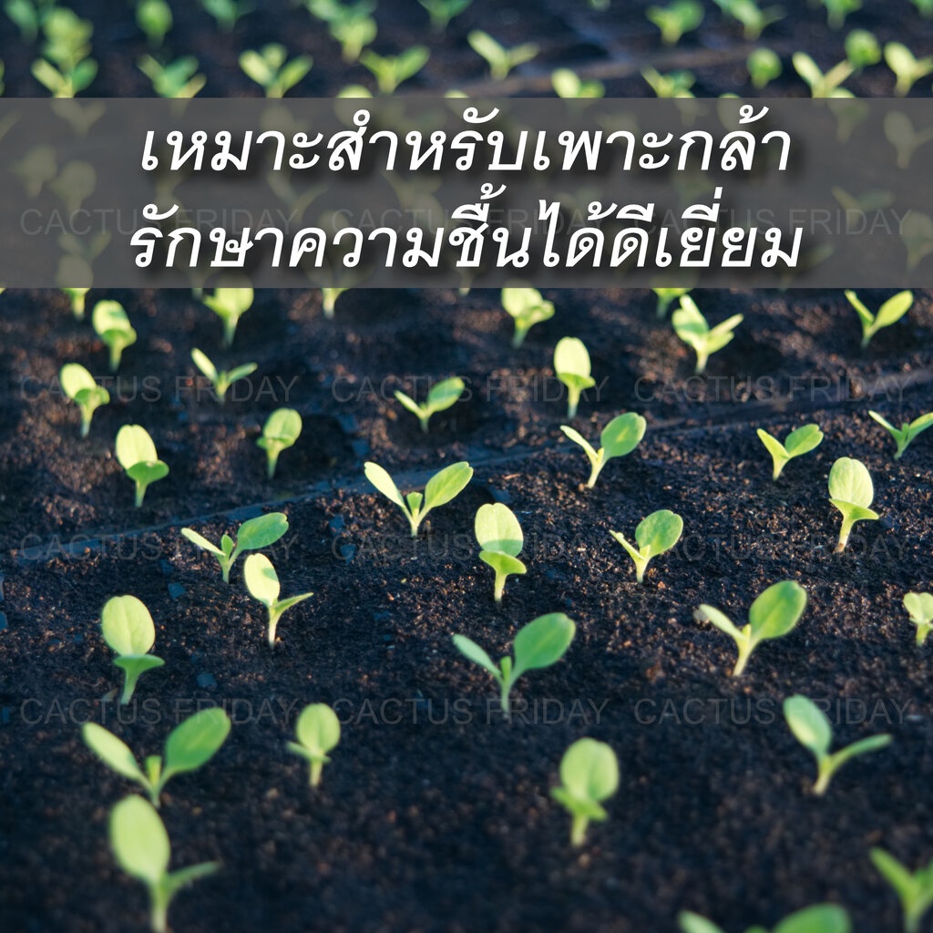 peat-moss-พีทมอส-เจียไต๋-20-ลิตร