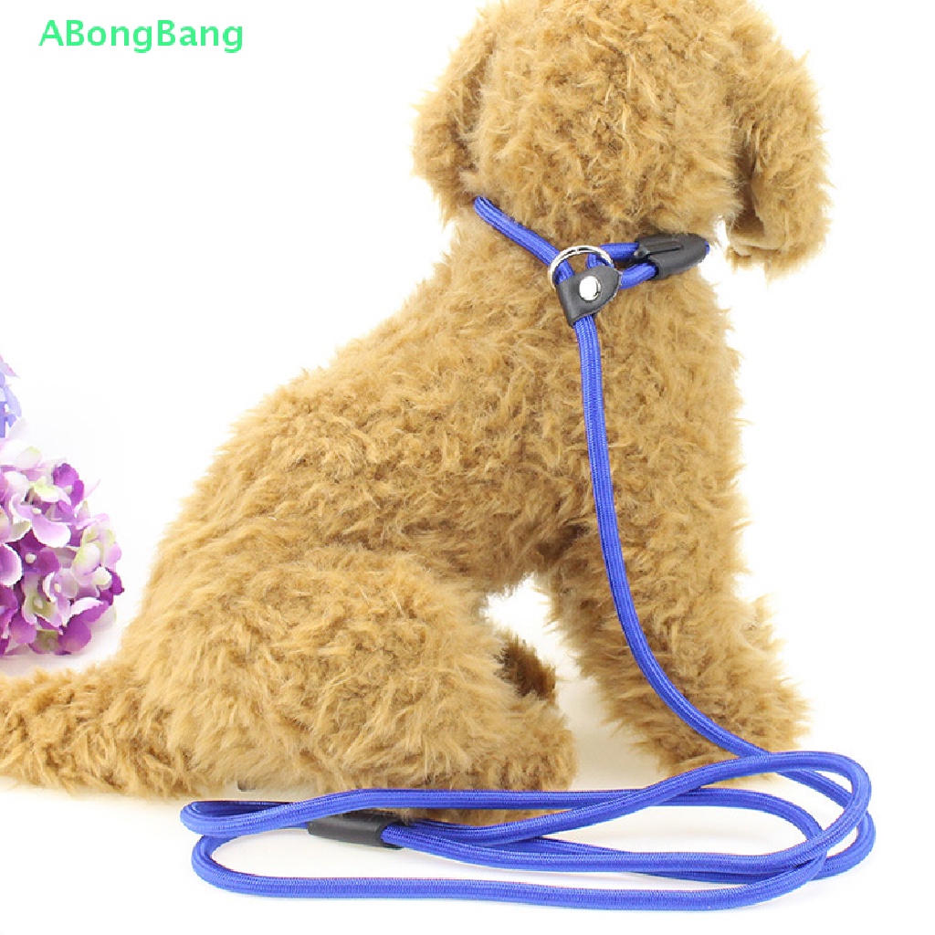 abongbang-ปลอกคอเชือกจูงไนล่อน-ทรงกลม-140-ซม-ปรับได้-สําหรับสัตว์เลี้ยง-สุนัข-ขนาดเล็ก