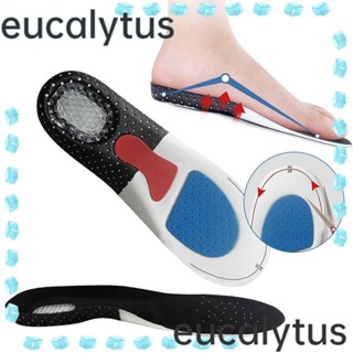 Eucalytus1 แผ่นรองส้นเท้า บรรเทาอาการปวด 1 คู่