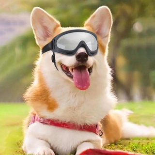 Ari แว่นตากันลม ป้องกันฝุ่น ป้องกันสายพันธุ์เล็ก ถึงปานกลาง สามารถปรับได้ สําหรับสัตว์เลี้ยง สุนัข