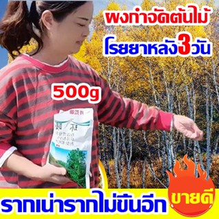 100%ต้นไม้ร้อยปีเน่าในคืนเดียว ยาฆ่าต้นไม้ ใหญ่ สารกําจัดกอไผ่ 500gกำจัดต้นไม้และไผ่ให้หมดจดยาฆ่ากอไผ่ ยาฆ่าตอไม้