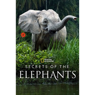 DVD Secrets of the Elephants (2023) 4 ตอน (เสียง อังกฤษ | ซับ ไทย(ฝัง)) DVD