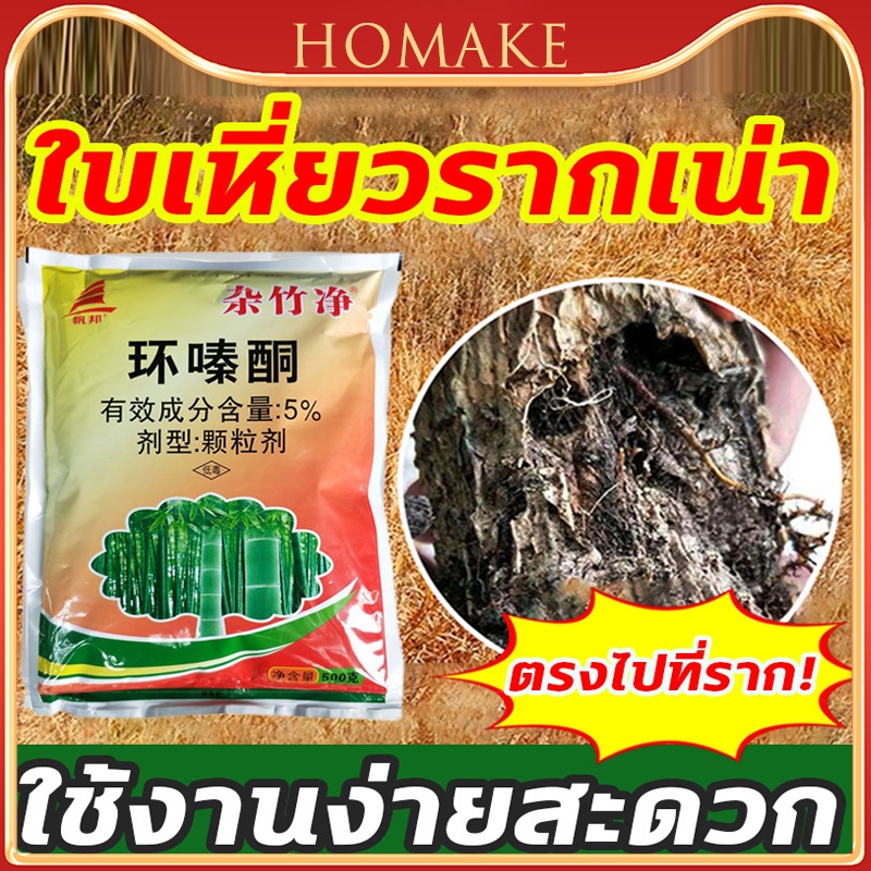 รากไม้เน่า-สารกําจัดกอไผ่-ยาฆ่าต้นไม้ใหญ่-สารกำจัดกอไผ่-500g-ยาฆ่าตอไม้-ยาฆ่ากอไผ่-ฆ่ารากได้สิ้นเชิง