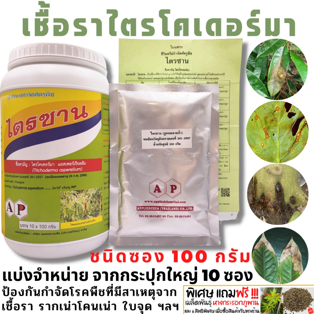 เกษตรอินทรีย์แนะนำ-ไตรโคเดอร์มา-ประสิทธิภาพสูง-ป้องกันกำจัดโรคพืช-รากเน่าโคนเน่า-ใบจุด-ใบไหม้-เน่าคอดิน-โรคพืชจากเชื้อรา