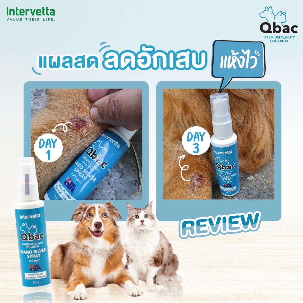 intervetta-qbac-nano-silver-คิวแบค-นาโน-ซิลเวอร์-สเปรย์-30ml