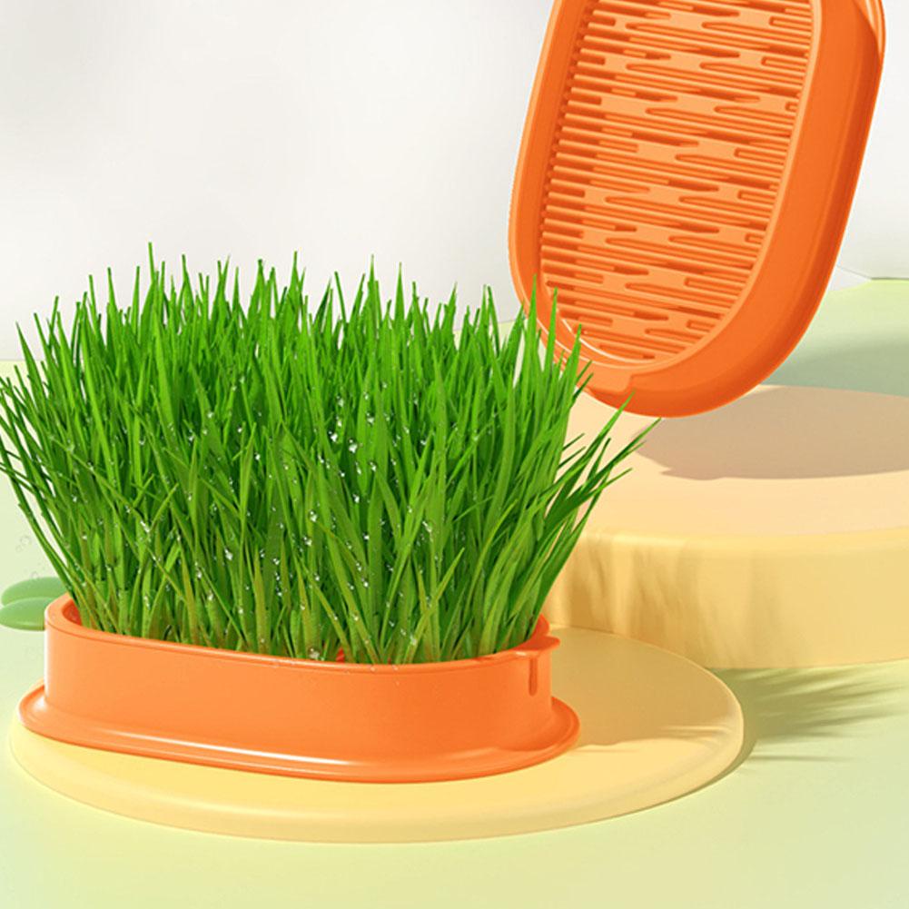กล่องหญ้าไฮโดรโปนิก-ลายการ์ตูนแครอท-สําหรับปลูกต้นไม้-แมว-m4e1