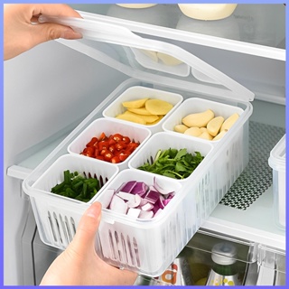 Scallion กล่องถนอมอาหารตู้เย็น พลาสติก รักษาความสด พร้อมฝาปิด และ 6 ช่อง