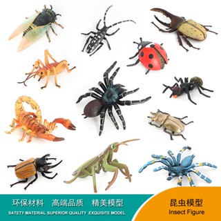 Spot seconds# Cross-border static simulation insect model Spider tianniu mantis butterfly mosquito insect childrens cognitive animal toy 8cc