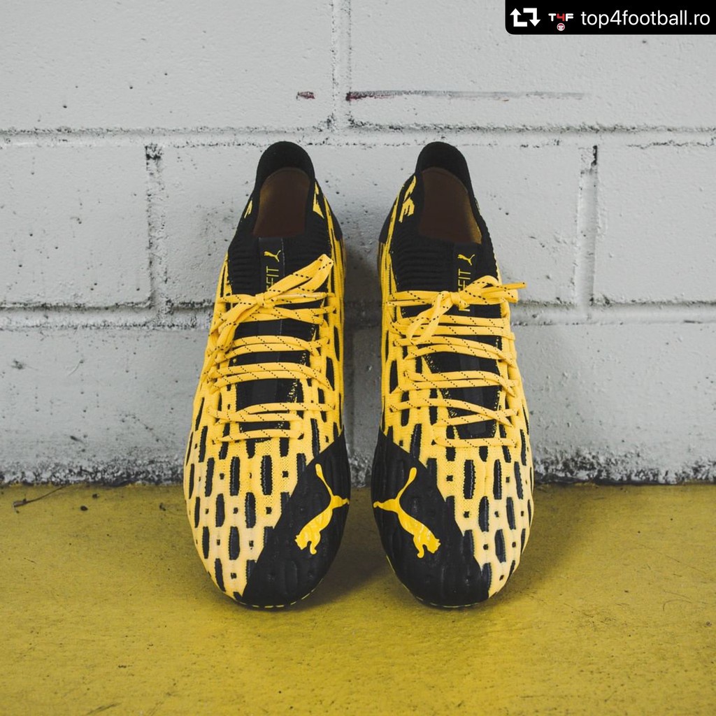 future 6.1 netfit fg ag