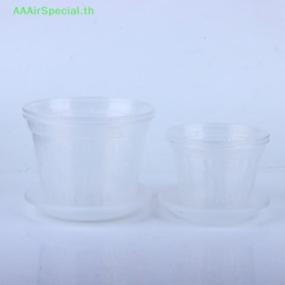 Aaairspecial กระถางดอกไม้พลาสติก ระบายน้ํา พร้อมรู ระบายอากาศ สีโปร่งใส 1 ชิ้น