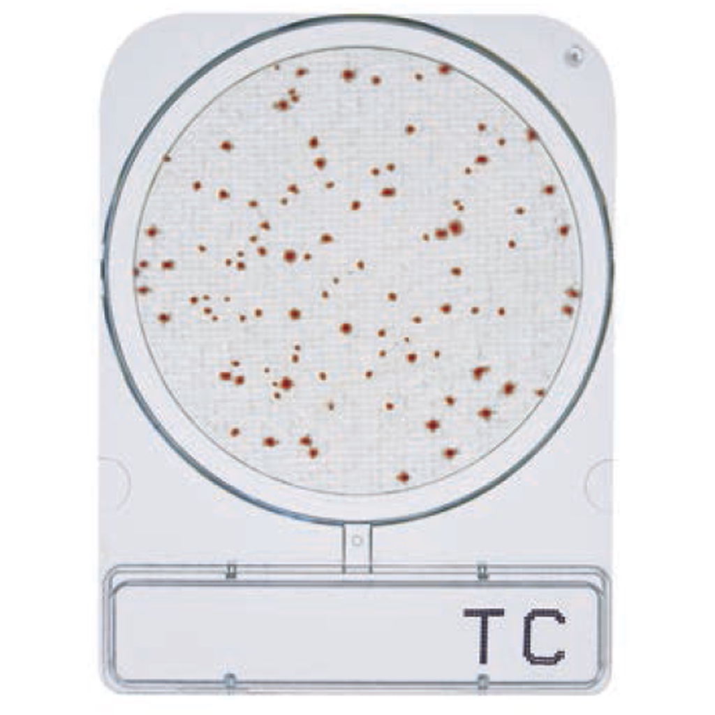 ชุดทดสอบแบคทีเรียในน้ำ-compact-dry-tc