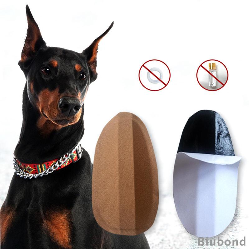 biubond-สติกเกอร์ติดหู-สําหรับสัตว์เลี้ยง-สุนัข-doberman-pinscher-samoyed